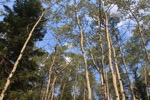 resIMG_20170715_171820_8686.JPG